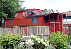 caboose for the new york central 800