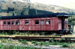 24 side railed old wooden carriage in new zealand 800