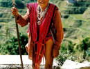5 ifugao warrior with 4000 year old rice terraces in the background 800