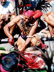 9 tribesman butchering a pig for the ceremony 800
