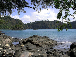 52 rocky area on the coast of brazil 800