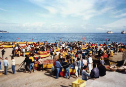 69. wating for their ship to come in   chile 800