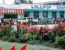 26 lollipop shop and butchery in mt. hagen  papua new guinea 800