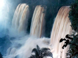 28 brazils iguazu falls 800