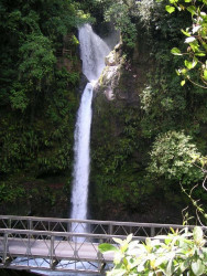 the roadside falls at waterfall park  mf  800
