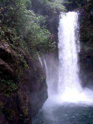 waterfall park view  mf  800