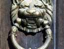 18 polished brass lion from iquique  chile 800