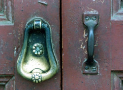 90 brass ring photographed in honduras 800