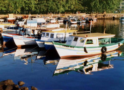 44 at anchor in brazil north of salvador 800
