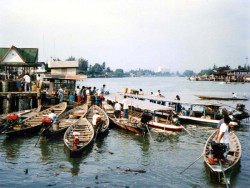 103 bots in thailand 800