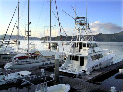 130 dock in the osa peninsula in costa rica 800