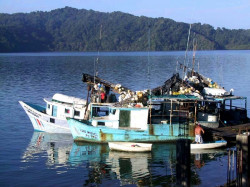 132 fishing vessels in golfito  costa rica