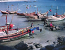 31 fishing fleet in songkhla  thailand 800