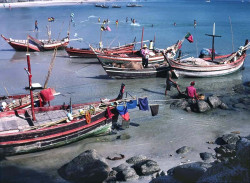 31 fishing fleet in songkhla  thailand 800