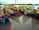 33 fishing fleet on cebu island of the philippines 800