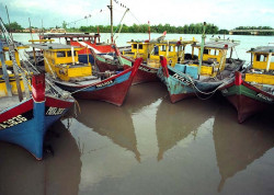 33 fishing fleet on cebu island of the philippines 800