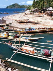 55 pontoon boats in the philippines 800