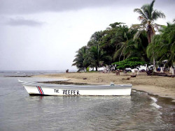 69 the reefer in puerto viejo  costa rica on the caribbean coast 800