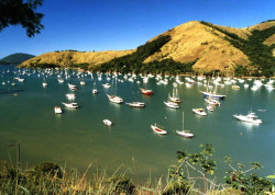 73 small bay along the atlantic coast of brazil north of vitoria 800