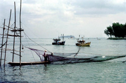 81 trapping fish in the philippines salton sea 800