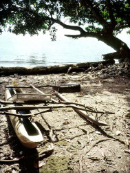 82a dugout log pontoon boat in papua new guinea 800
