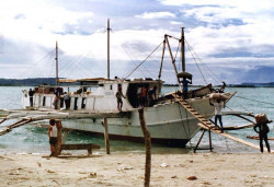 89 a very special pontoon boat in the philippines 800
