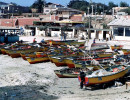 107 fishing fleet in chile 800