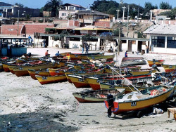 107 fishing fleet in chile 800