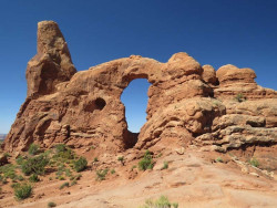 arches np 29 800