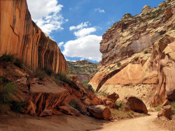 capitol reef np 44 800
