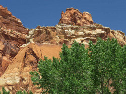 capitol reef np 8 800