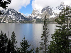 grand teton national park wyoming 3 800
