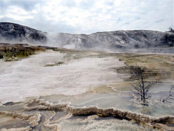 yellowstone national park   wyoming 18 800