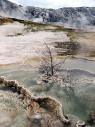 yellowstone national park   wyoming 19 800