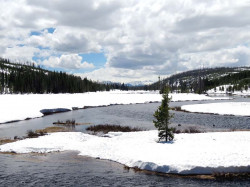 yellowstone national park   wyoming 2 800