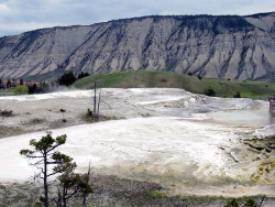 yellowstone national park   wyoming 21 800