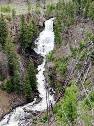 yellowstone national park   wyoming 22 800
