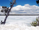 yellowstone national park   wyoming 5 800