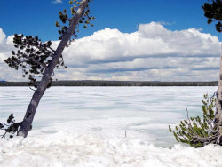 yellowstone national park   wyoming 5 800