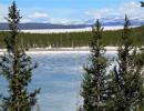 yellowstone national park   wyoming 7 800