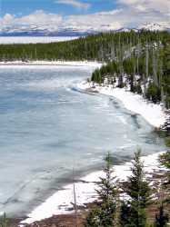 yellowstone national park   wyoming 8 800