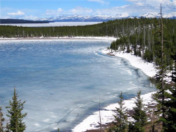 yellowstone national park   wyoming 9 800