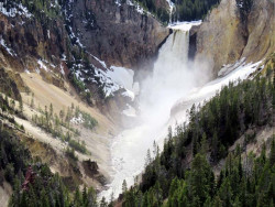 yellowstone national park   wyoming 34 800