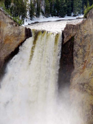 yellowstone national park   wyoming 36 800