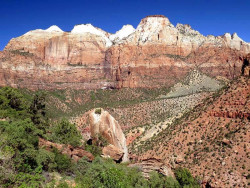 zion national park 1 800