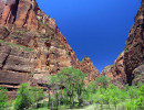 zion national park 14 800