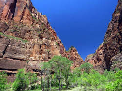 zion national park 14 800