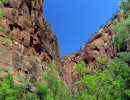 zion national park 15 800