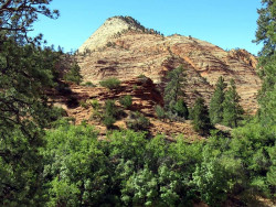 zion national park 16 800