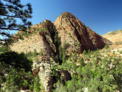 zion national park 17 800